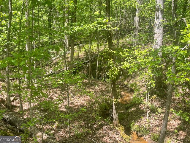0 Weaver Jones Tract 10B, Rutledge, GA 30663