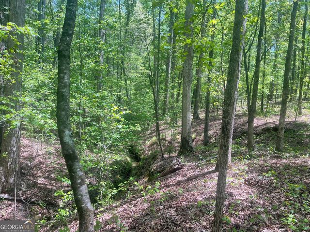 0 Weaver Jones Tract 10B, Rutledge, GA 30663