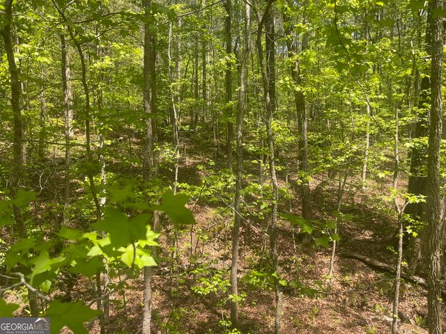 0 Weaver Jones Tract 10B, Rutledge, GA 30663