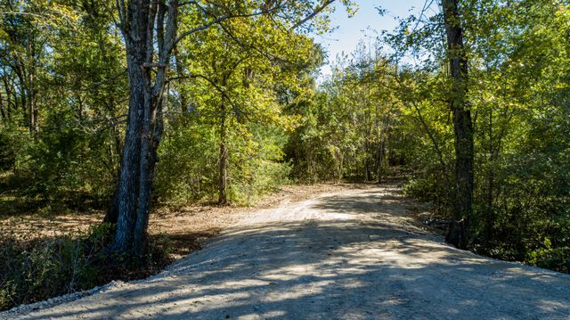 10081 fm 773, Ben Wheeler, TX 75754