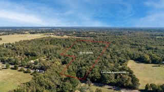 10081 fm 773, Ben Wheeler, TX 75754