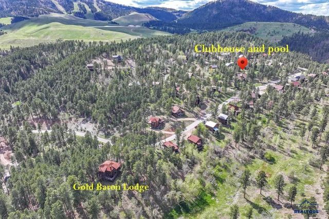 21184 GILDED MOUNTAIN RD, Lead, SD 57754
