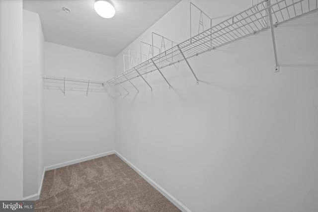 18317 CHELSEA KNOLLS DR, Mount Airy, MD 21771