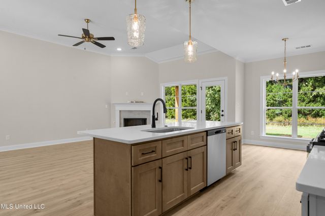 1434 Crk Hvn Drive, Hernando, MS 38632