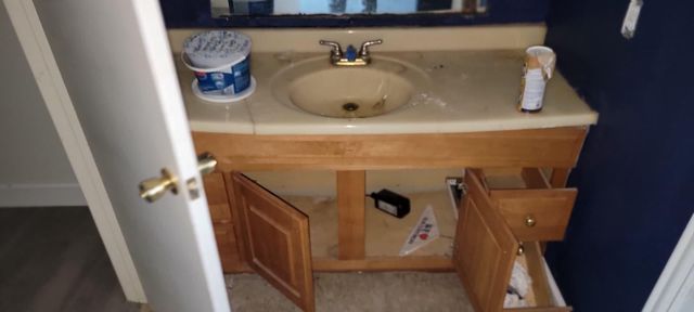 16147 Little Cypress Lane, Cypress, TX 77429