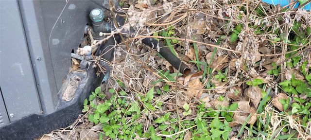 16147 Little Cypress Lane, Cypress, TX 77429