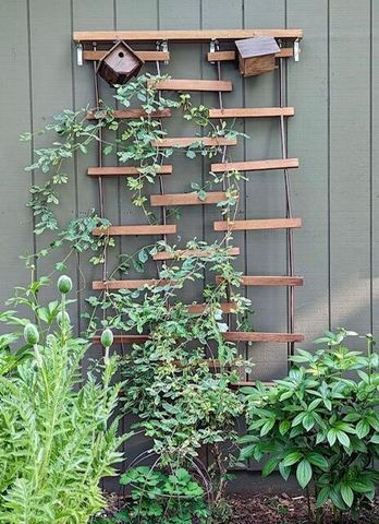 275 Negaunee Lake Drive, Evart, MI 49631