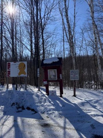 275 Negaunee Lake Drive, Evart, MI 49631