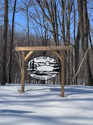 275 Negaunee Lake Drive, Evart, MI 49631