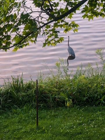 275 Negaunee Lake Drive, Evart, MI 49631