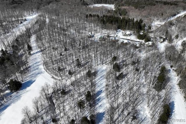 8820 Abbott Hill Road, Concord, NY 14025