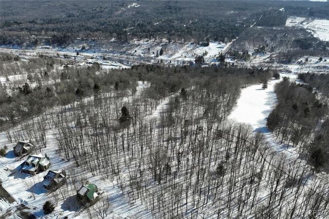 8820 Abbott Hill Road, Concord, NY 14025