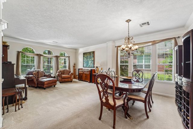 14 Serene Creek Place, The Woodlands, TX 77382