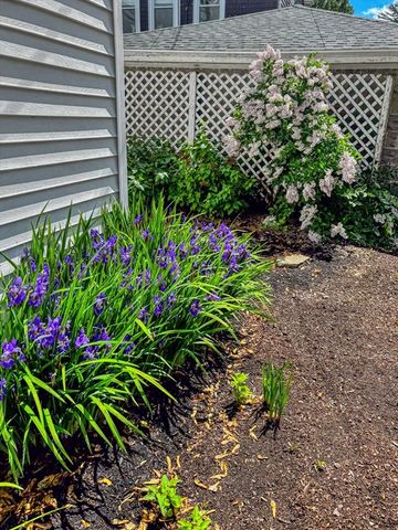 1 Shore Ave, Salem, MA 01970