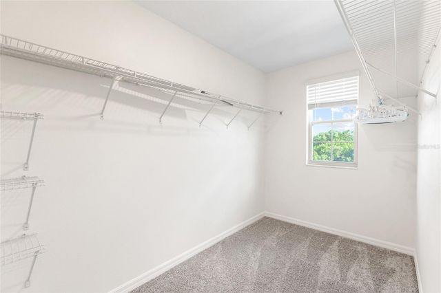 7310 PEARLY EVERLASTING AVENUE, Tampa, FL 33619