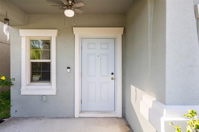 7310 PEARLY EVERLASTING AVENUE, Tampa, FL 33619