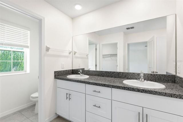 7310 PEARLY EVERLASTING AVENUE, Tampa, FL 33619