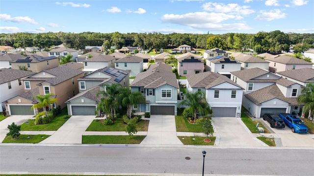 7310 PEARLY EVERLASTING AVENUE, Tampa, FL 33619