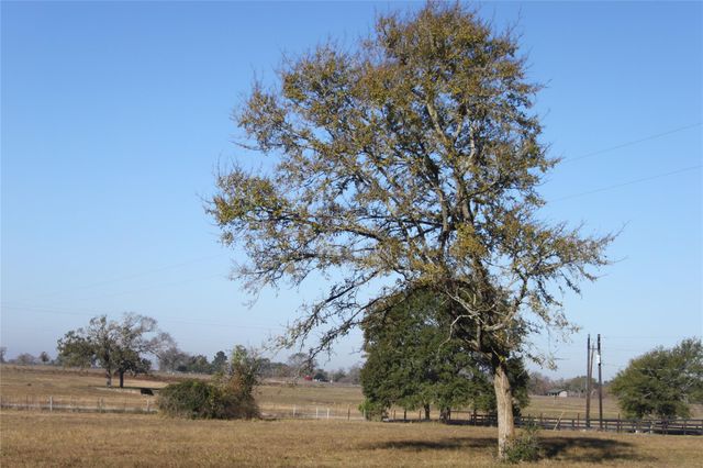 27134 Muckelroy Road, Hempstead, TX 77445