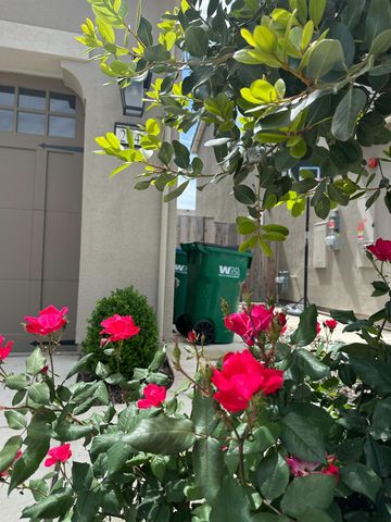 2946 Valencia, Lodi, CA 95242