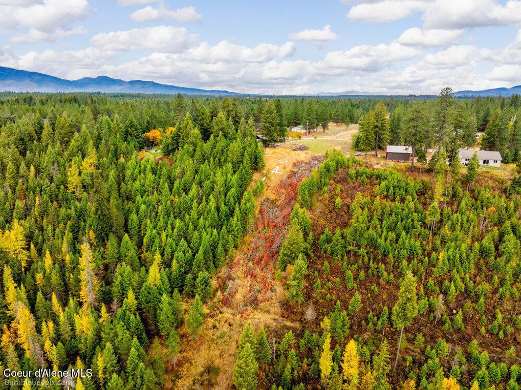 TBD Roberts Rd, Athol, ID 83801 photo 12