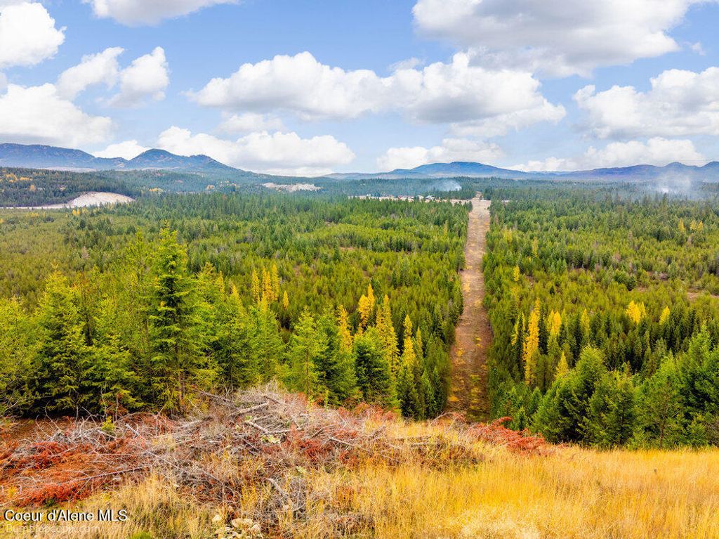 TBD Roberts Rd, Athol, ID 83801 photo 9