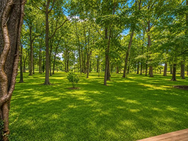 6001 S Farm Road 249, Rogersville, MO 65742