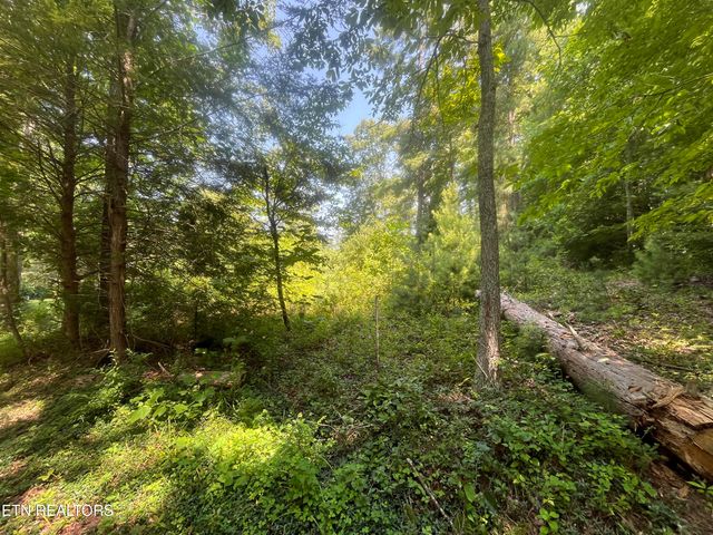 Blizzard Mine Rd, Harriman, TN 37748