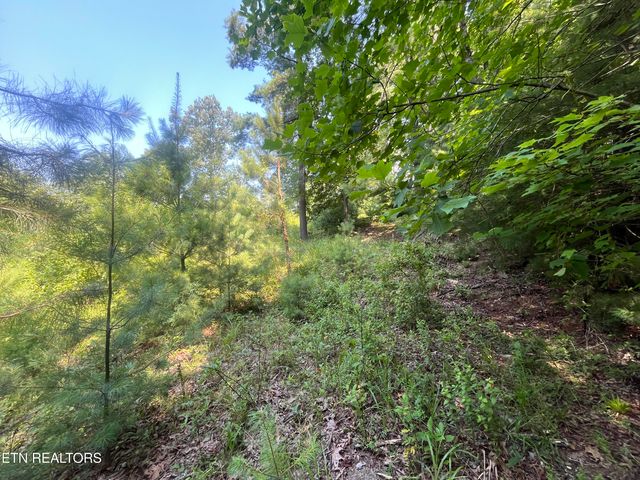 Blizzard Mine Rd, Harriman, TN 37748