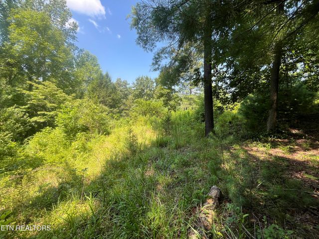 Blizzard Mine Rd, Harriman, TN 37748
