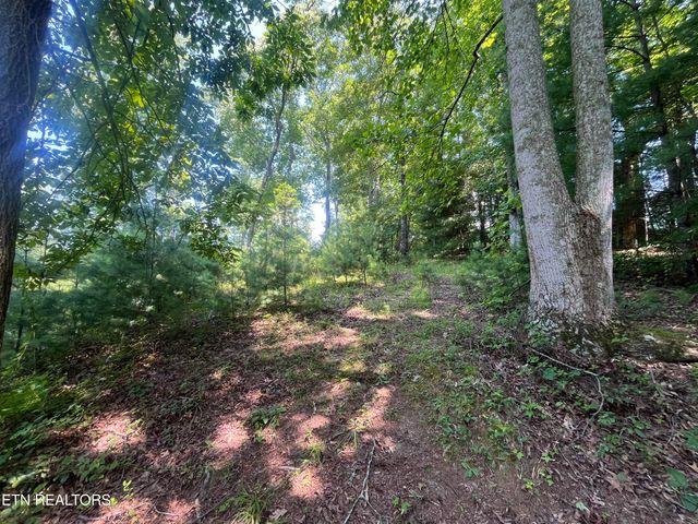 Blizzard Mine Rd, Harriman, TN 37748