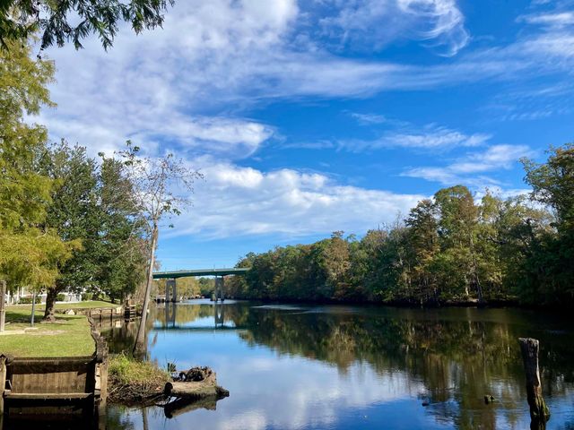 3039 Gadwall Dr., Aynor, SC 29511