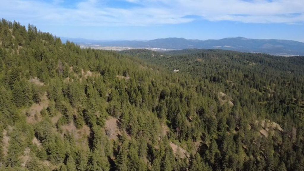 95XX N Campbell Rd, Spokane, WA 99027 photo 1