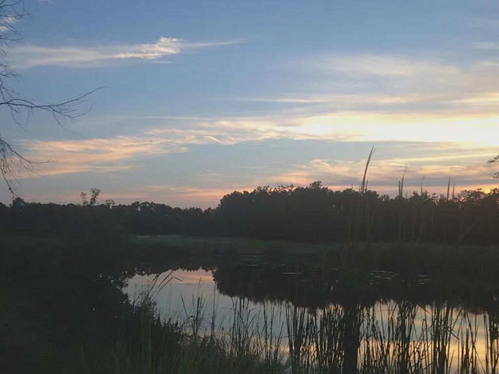 Image 68 of property listing at 1817 Great Hope Drive, Mount Pleasant, SC 29466