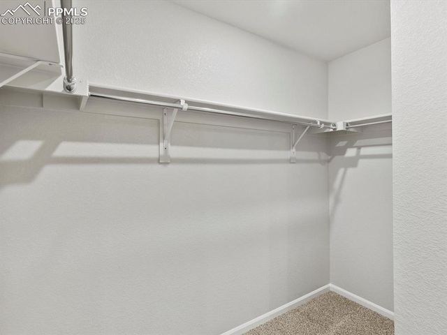 11326 Splake Street, Colorado Springs, CO 80925