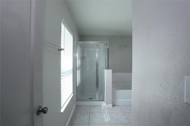 1141 AUGUSTUS DRIVE, Davenport, FL 33896