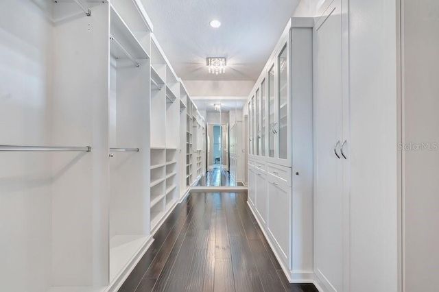 8449 VIA VITTORIA WAY, Orlando, FL 32819