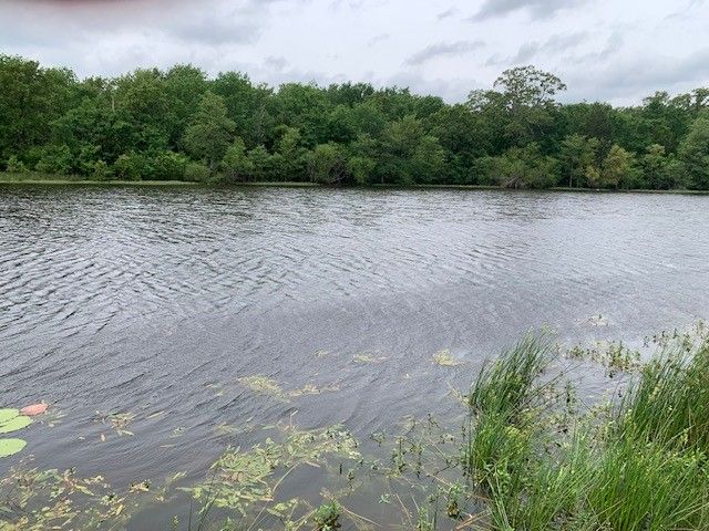 1846 Vz County Road 1605, Grand Saline, TX 75140