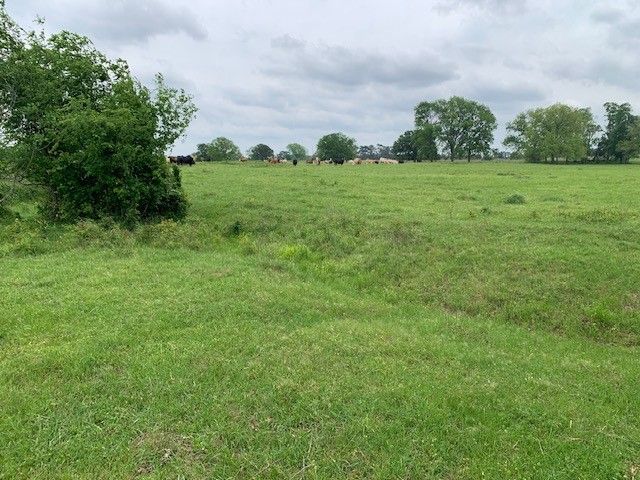 1846 Vz County Road 1605, Grand Saline, TX 75140