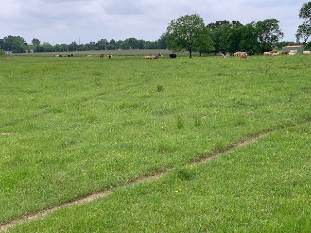 1846 Vz County Road 1605, Grand Saline, TX 75140