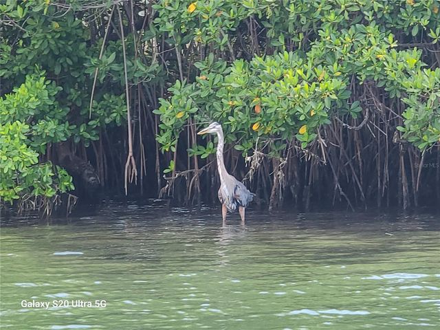 360 GULF OF MEXICO DRIVE 312, Longboat Key, FL 34228