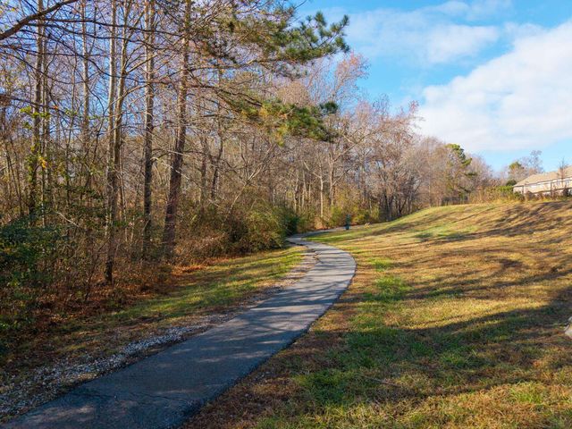 454 Christiane Way, Greenville, SC 29607