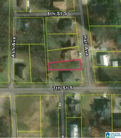 704 HALL AVENUE, Bessemer, AL 35020