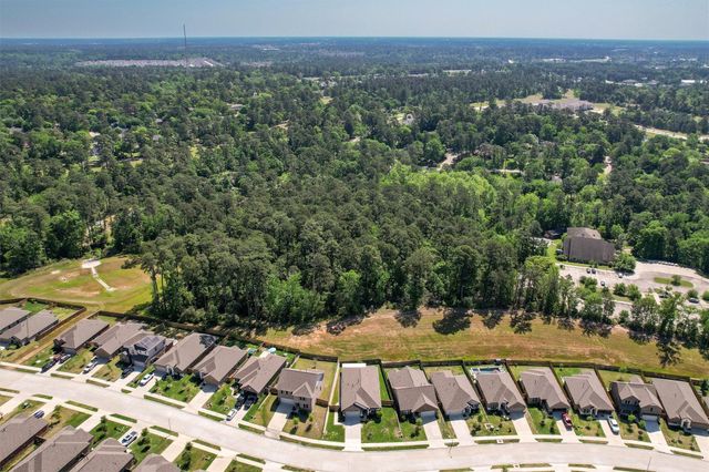 954 Golden Willow Lane, Conroe, TX 77304