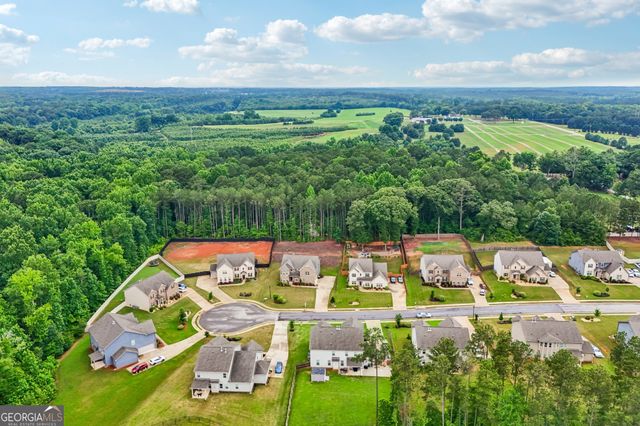 415 Traditions Lane, Hampton, GA 30228