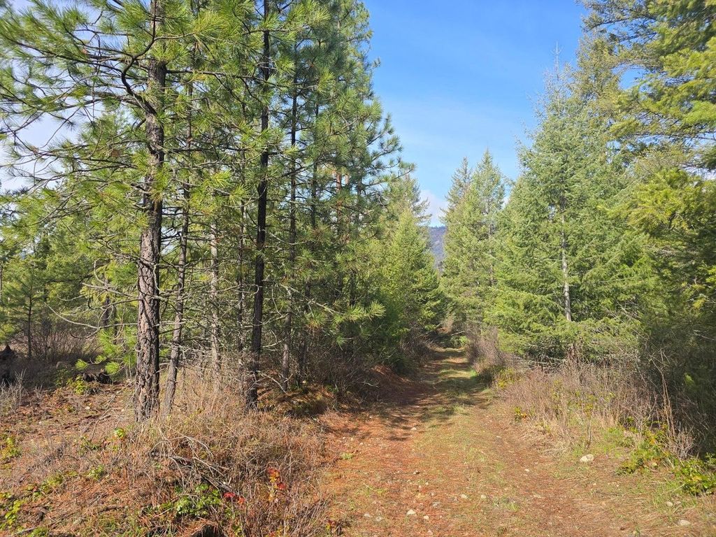 3XXX Lot #12 Larkspur Way, Kettle Falls, WA 99141