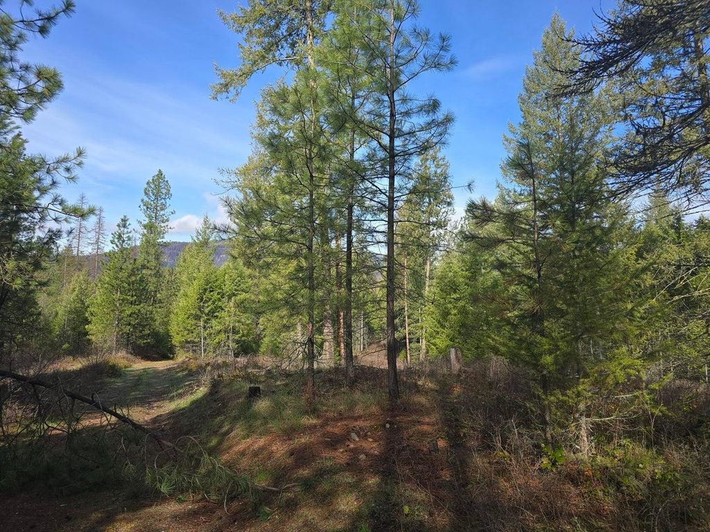3XXX Lot #12 Larkspur Way, Kettle Falls, WA 99141 photo 2