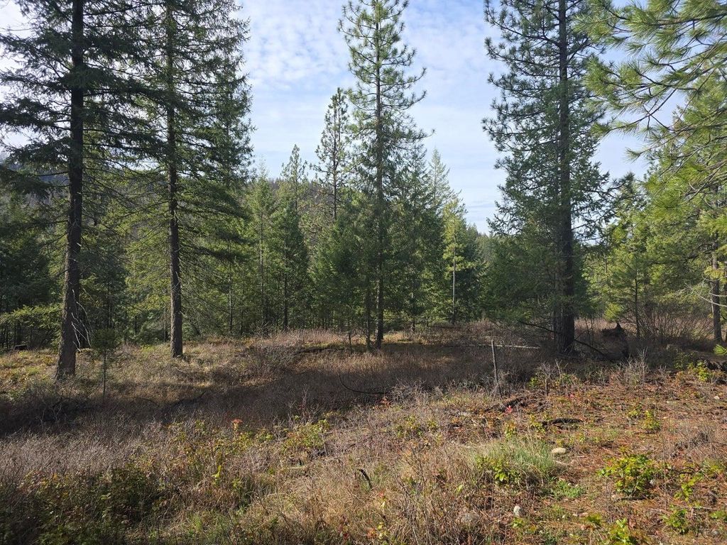 3XXX Lot #12 Larkspur Way, Kettle Falls, WA 99141 photo 3
