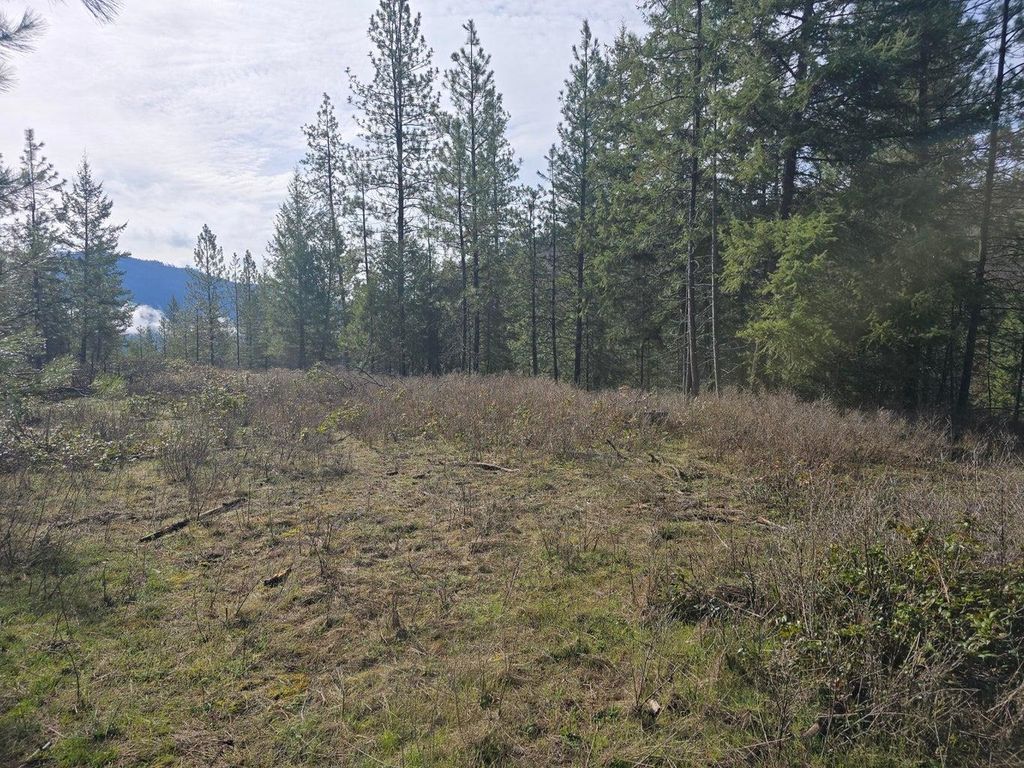 3XXX Lot #12 Larkspur Way, Kettle Falls, WA 99141 photo 4