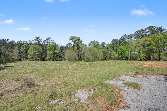 19779 Craig Mack Rd, Walker, LA 70785